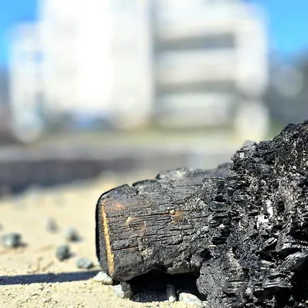 Sloneczna Zatoka By Triapart