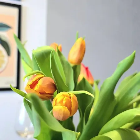 Sloneczna Zatoka By Triapart *