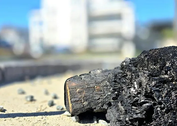 Sloneczna Zatoka By Triapart