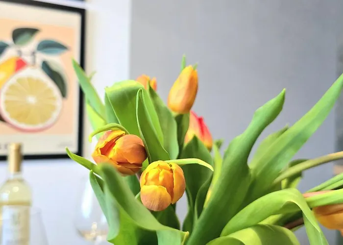 Sloneczna Zatoka By Triapart *